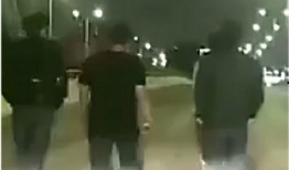 冷江大桥爆料视频播放,惊心动魄的瞬间，揭秘桥梁安全背后的故事